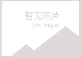 红寺堡区忆山建设有限公司